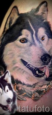 Husky tetovaža - foto primjer gotove tetovaže za članak o značenju 21