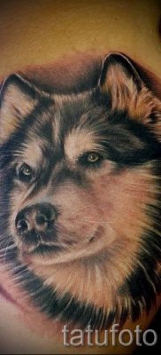 Husky tetovaža - foto primjer gotove tetovaže za članak o značenju 18
