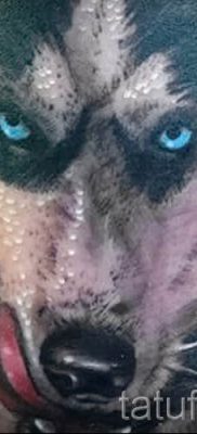 Husky tetovaža - foto primjer gotove tetovaže za članak o značenju 15