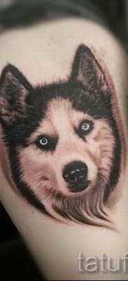 Husky tetovaža - foto primjer gotove tetovaže za članak o značenju 14