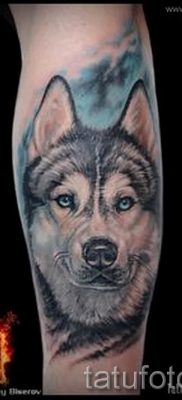 Husky tetovaža - foto primjer gotove tetovaže za članak o značenju 2