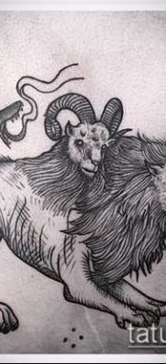 Zdjęcie tatuażu chimery - 11072017 - przykład - 011 Chimera Tattoo