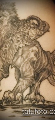 Zdjęcie tatuażu chimery - 11072017 - przykład - 013 Chimera Tattoo