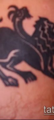 Zdjęcie tatuażu chimery - 11072017 - przykład - 014 Chimera Tattoo