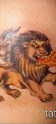Zdjęcie tatuażu chimera - 11072017 - przykład - 016 Chimera Tattoo