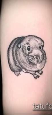 fotó hörcsög tetoválásról (jelentése) - egy példa egy érdekes tetoválási rajzra - 048