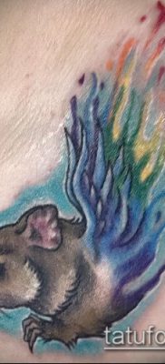 fotó hörcsög tetoválásról (jelentése) - egy példa egy érdekes tetoválásrajzra - 045