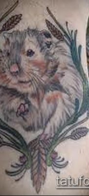 fotó egy hörcsög tetoválásról (jelentése) - példa egy érdekes tetoválási rajzra - 039