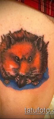 fotó hörcsög tetoválásról (jelentése) - egy példa egy érdekes tetoválásrajzra - 035