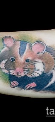 fotó hörcsög tetoválásról (jelentése) - egy példa egy érdekes tetoválási rajzra - 030