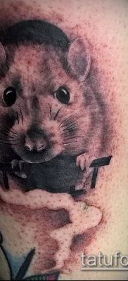 fotó hörcsög tetoválásról (jelentése) - egy példa egy érdekes tetoválási rajzra - 029