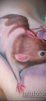 fotó hörcsög tetoválásról (jelentése) - egy példa egy érdekes tetoválási rajzra - 024