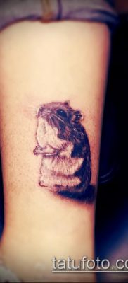 fotó egy hörcsög tetoválásról (jelentése) - egy példa egy érdekes tetoválási rajzra - 006