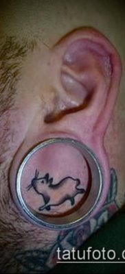 fotó hörcsög tetoválásról (jelentése) - egy példa egy érdekes tetoválási rajzra - 004