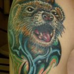 Fénykép tetováló görény 2019.02.26. №074 - Fénykép tetováló görény -