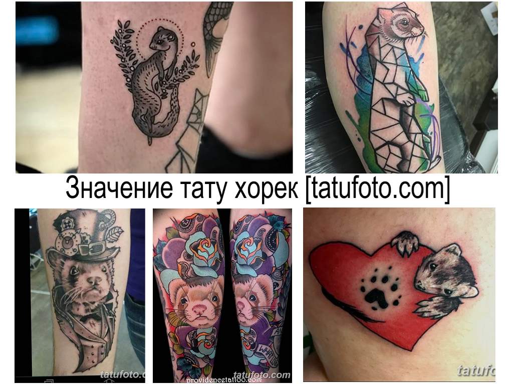 A görény tetoválás jelentése - információ a rajz jellemzőiről és a kész tetoválások fotó példái