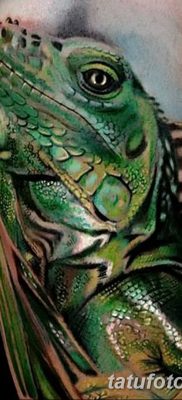fotó az Iguana tetoválásról, 2018.02.09. №055 - Iguana tetoválás -