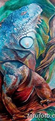 fotó az Iguana tetoválásról, 2018.02.09., 004 - Iguana tetoválás -