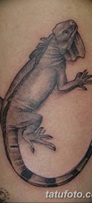 fotó az Iguana tetoválásról, 2018.02.09. №023 - Iguana tetoválás -