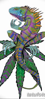 fotó az Iguana tetoválásról, 2018.02.09. №042 - Iguana tetoválás -