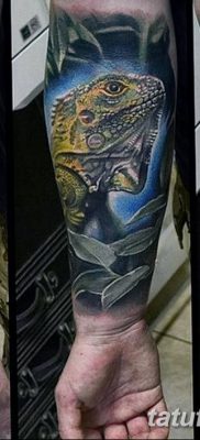 fotó az Iguana tetoválásról, 2018.02.09. №045 - Iguana tetoválás -