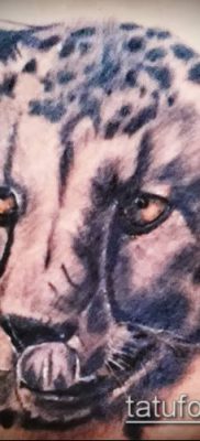 tatuaż lamparta śnieżnego #401
