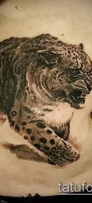 tattoo irbis # 709 - unikalna wersja wzoru, którą z powodzeniem można wykorzystać do obróbki i aplikacji jako tatuaż irbis dingo