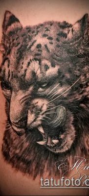 tatuaż irbis # 130 - wyjątkowa wersja wzoru, który z powodzeniem można wykorzystać do przekształcenia i zastosować jako tatuaż irbis dingo