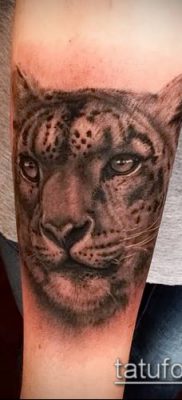 tatuaż lamparta śnieżnego # 643