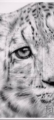 tatuaż lamparta śnieżnego #540 to fajna wersja wzoru, który można z powodzeniem wykorzystać do dopracowania i aplikacji jako tatuaż pantery śnieżnej na plecach