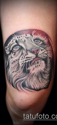 irbis tattoo # 834 to godna wersja wzoru, który można łatwo wykorzystać do przekształcenia i zastosowania jako tatuaż irbis dingo