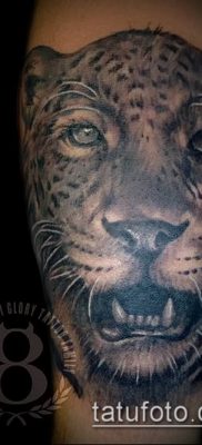 tatuaż irbis #334 to fajna wersja wzoru, który z powodzeniem można wykorzystać do uszlachetnienia i nałożenia jako tatuaż irbis na plecach