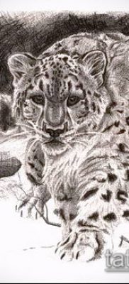 tatuaż lamparta śnieżnego #346 to fajna wersja wzoru, który z powodzeniem można wykorzystać do obróbki i nałożenia jako tatuaż na plecach