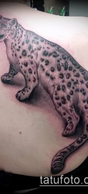 tatuaż irbis # 194 - ekskluzywna wersja wzoru, który z powodzeniem można wykorzystać do przeróbki i aplikacji jako tatuażu pantery śnieżnej na plecach
