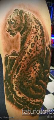 tatuaż irbis #281 - wyjątkowa wersja wzoru, który z powodzeniem można wykorzystać do przerabiania i rysowania jako tatuaż irbis dingo