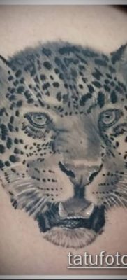 tattoo irbis # 105 - ciekawa wersja wzoru, który z powodzeniem można wykorzystać do przekształcenia i zastosowania jako tatuaż irbis dingo