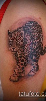 tatuaż lamparta śnieżnego # 892