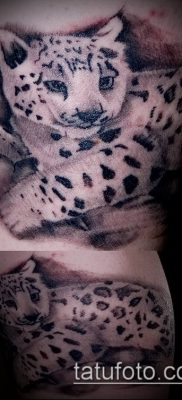 tatuaż irbis #862 to godna wersja wzoru, który z powodzeniem można wykorzystać do obróbki i aplikacji jako tatuaż irbis lampart śnieżny