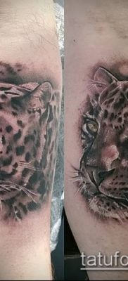 tatuaż irbis numer 114 - godna wersja wzoru, który z powodzeniem można wykorzystać do przerabiania i rysowania jako tatuaż irbis dingo