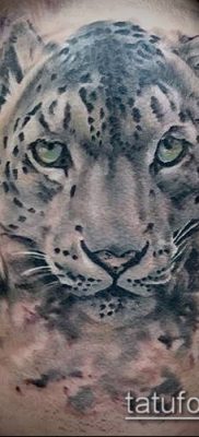 tatuaż irbis #479 - godna wersja wzoru, który z powodzeniem można wykorzystać do przerabiania i rysowania jako tatuaż irbis dingo