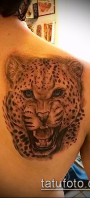 tatuaż lamparta śnieżnego # 325 to fajna wersja wzoru, który można dobrze wykorzystać do udoskonalenia i zastosowania lamparta śnieżnego jako tatuażu irbis