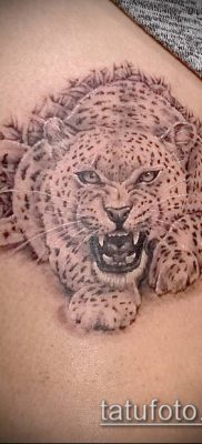 tattoo irbis #689 - ekskluzywna wersja wzoru, który można z powodzeniem wykorzystać do uszlachetnienia i aplikacji jako tatuaż irbis dingo