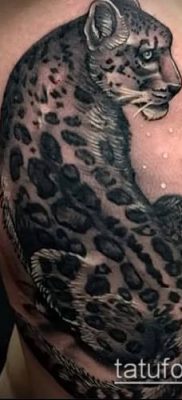 tatuaż irbis # 359 - fajna wersja wzoru, który można z powodzeniem wykorzystać do przeróbek i rysowania jako tatuaż irbis dingo