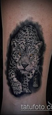 tatuaż irbis #246 - ciekawa wersja wzoru, który z powodzeniem można wykorzystać do przerabiania i rysowania jako tatuaż irbis dingo