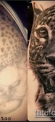 tatuaż lamparta śnieżnego #532