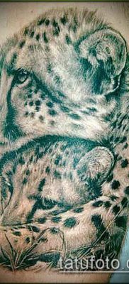 tatuaż irbis #498 - fajna wersja wzoru, którą z powodzeniem można wykorzystać do uszlachetniania i nakładania jako tatuaż irbis dingo