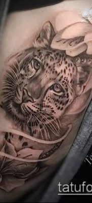 tatuaż irbis # 943 - ciekawa wersja wzoru, który z powodzeniem można wykorzystać do przekształcenia i zastosować jako tatuaż irbis dingo