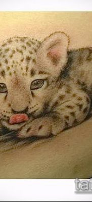 tatuaż irbis # 492 - ciekawa wersja wzoru, który można łatwo wykorzystać do przeróbki i rysowania jako tatuaż irbis dingo