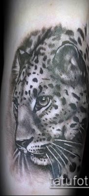 tattoo irbis # 207 - ekskluzywna wersja wzoru, który można łatwo wykorzystać do przeróbek i rysowania jako tatuaż irbis dingo