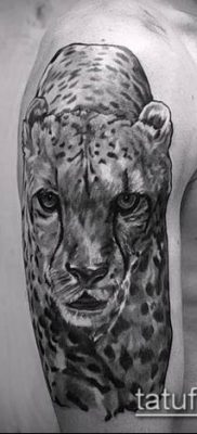 tattoo irbis # 905 - ekskluzywna wersja wzoru, który z powodzeniem można wykorzystać do obróbki i aplikacji jako tatuaż irbis na plecach